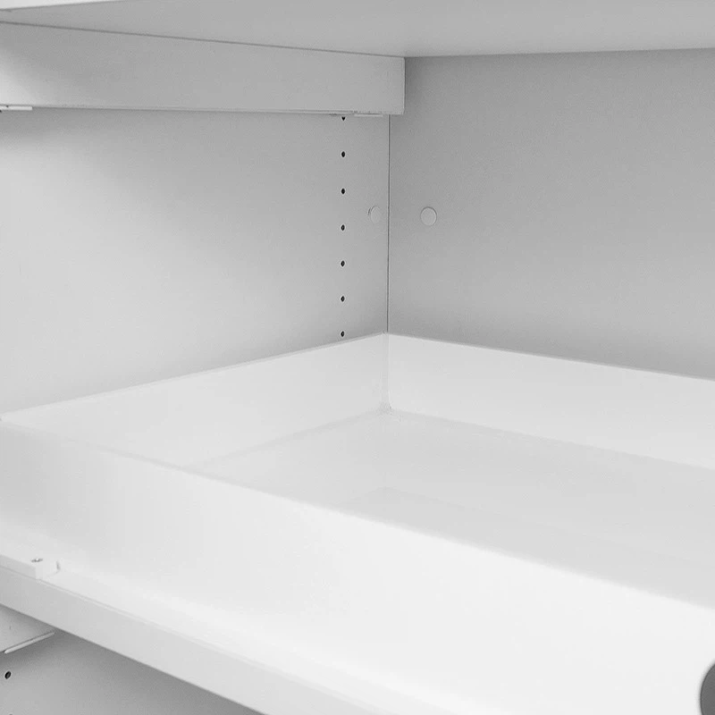 SYSBEL EN Fire-Resistant Combination Safety Storage Cabinet best