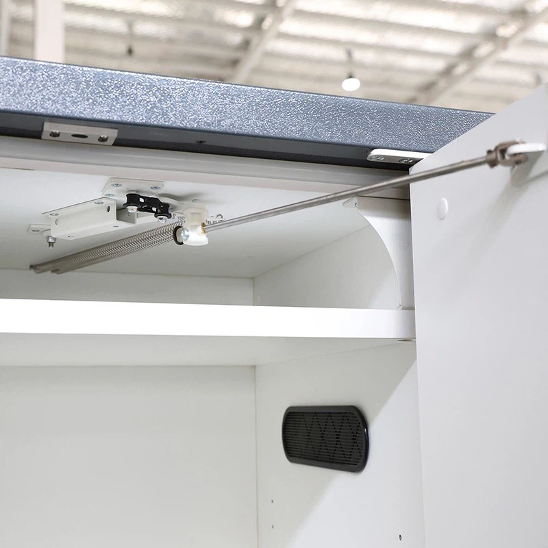 SYSBEL EN Fire-Resistant Combination Safety Storage Cabinet price